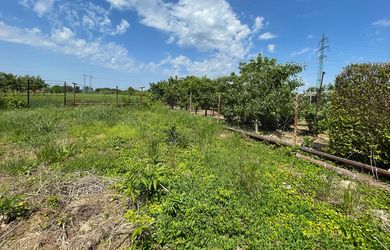 AZ. Predaj krásneho slnečného pozemku vo veľkosti 3406m² v obci Šintava